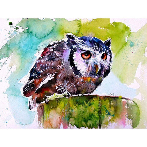 Resting Owl Black Modern Wood Framed Art Print with Double Matting by Kovacs, Anna Brigite
