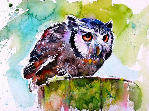 Resting Owl Black Ornate Wood Framed Art Print with Double Matting by Kovacs, Anna Brigite