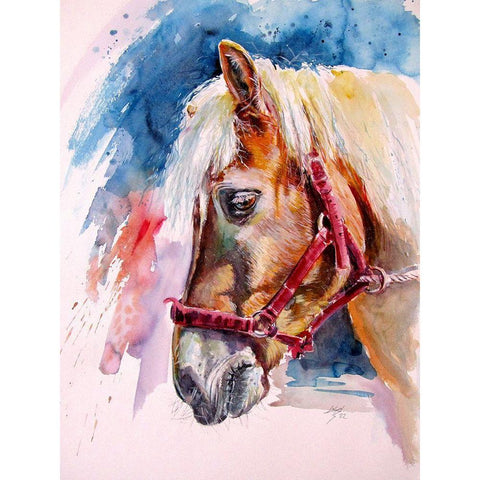 Horse White Modern Wood Framed Art Print by Kovacs, Anna Brigite