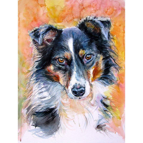Dog Eyes II White Modern Wood Framed Art Print by Kovacs, Anna Brigite