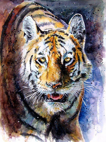 Collarwali White Modern Wood Framed Art Print with Double Matting by Kovacs, Anna Brigite