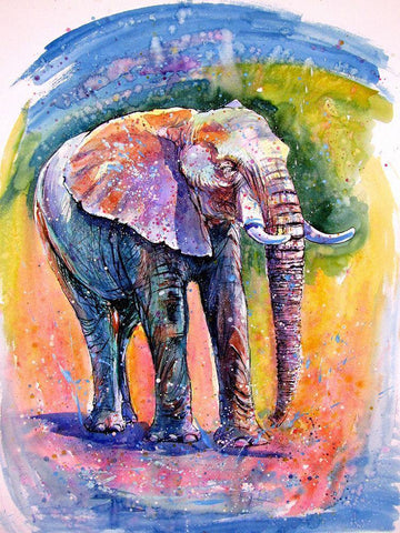 Elephant by the Water White Modern Wood Framed Art Print with Double Matting by Kovacs, Anna Brigite