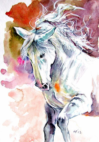 Andalusian Horse I White Modern Wood Framed Art Print with Double Matting by Kovacs, Anna Brigite