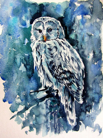 Owl in the Forest Black Modern Wood Framed Art Print by Kovacs, Anna Brigite