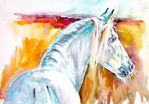 Andalusian Horse III White Modern Wood Framed Art Print with Double Matting by Kovacs, Anna Brigite