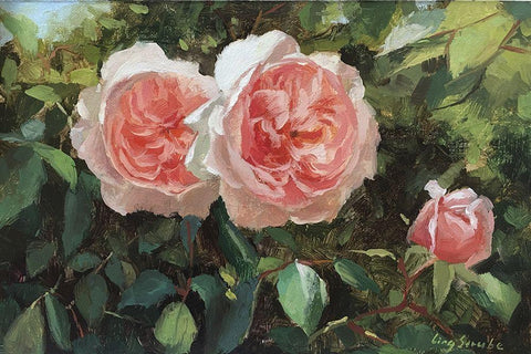 Garden Rose II White Modern Wood Framed Art Print with Double Matting by Strube, Ling