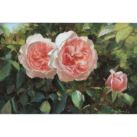 Garden Rose II Gold Ornate Wood Framed Art Print with Double Matting by Strube, Ling
