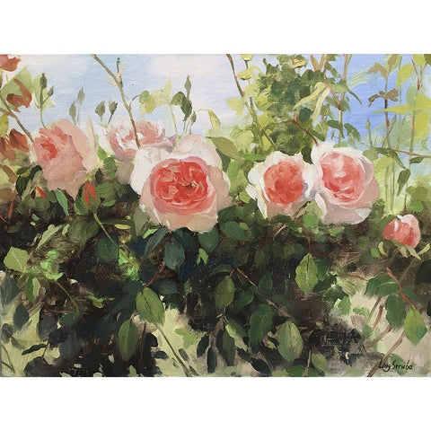 Garden Rose IV Black Modern Wood Framed Art Print by Strube, Ling