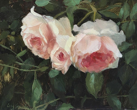 Garden Rose V White Modern Wood Framed Art Print with Double Matting by Strube, Ling