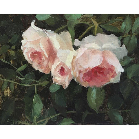 Garden Rose V Gold Ornate Wood Framed Art Print with Double Matting by Strube, Ling