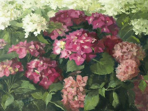 German Hydrangeas White Modern Wood Framed Art Print with Double Matting by Strube, Ling