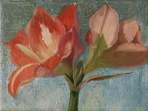 Pink Amarylis White Modern Wood Framed Art Print with Double Matting by Strube, Ling