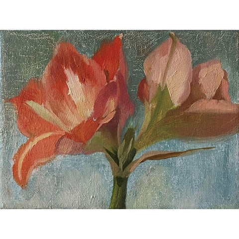 Pink Amarylis Black Modern Wood Framed Art Print with Double Matting by Strube, Ling