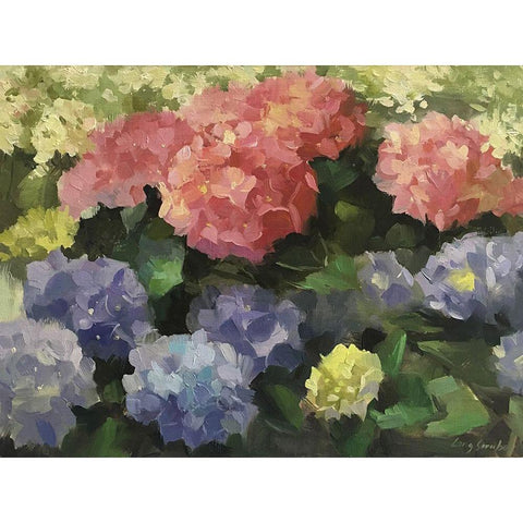 Hydrangeas Black Modern Wood Framed Art Print with Double Matting by Strube, Ling