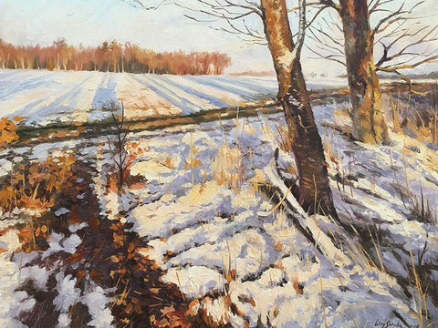 An Evening in Winter White Modern Wood Framed Art Print with Double Matting by Strube, Ling