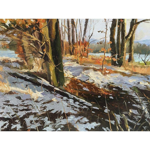 An Evening in Winter III Black Modern Wood Framed Art Print with Double Matting by Strube, Ling
