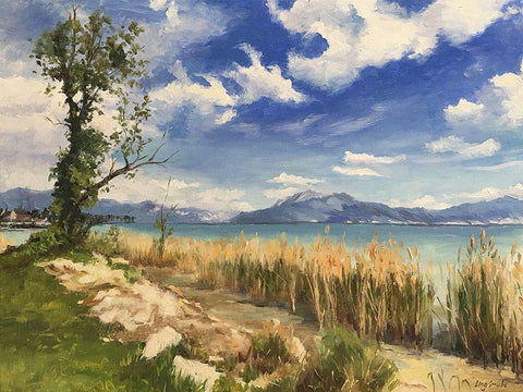 Garda Lake  in Spring Black Ornate Wood Framed Art Print with Double Matting by Strube, Ling