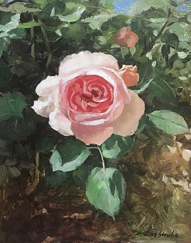 Garden Rose I White Modern Wood Framed Art Print with Double Matting by Strube, Ling