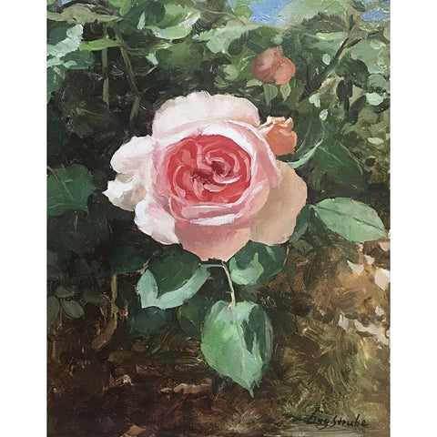 Garden Rose I Black Modern Wood Framed Art Print with Double Matting by Strube, Ling