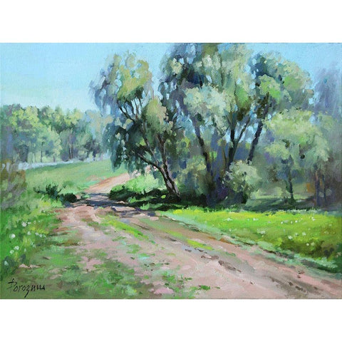 The Way to the Lake Black Modern Wood Framed Art Print with Double Matting by Rogozina, Svetlana