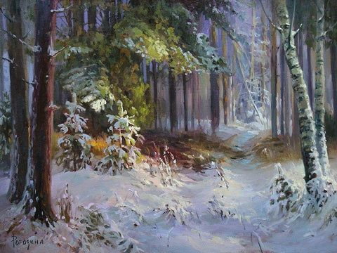 Freshly Fallen Snow Black Ornate Wood Framed Art Print with Double Matting by Rogozina, Svetlana