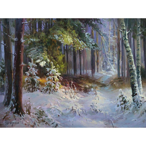 Freshly Fallen Snow Black Modern Wood Framed Art Print by Rogozina, Svetlana