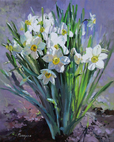 Daffodils Bloomed Black Ornate Wood Framed Art Print with Double Matting by Rogozina, Svetlana