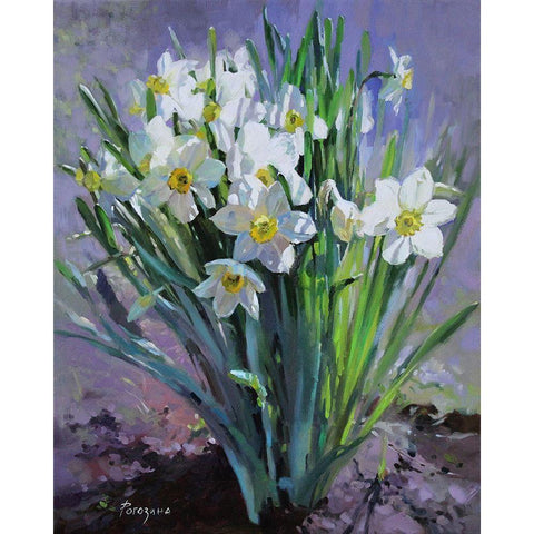 Daffodils Bloomed Black Modern Wood Framed Art Print by Rogozina, Svetlana