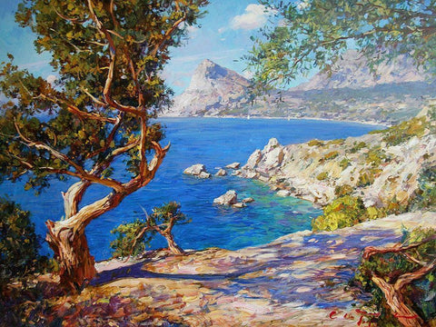 Rocky Coast II Black Ornate Wood Framed Art Print with Double Matting by Sviridov, Sergei