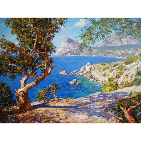 Rocky Coast II Black Modern Wood Framed Art Print by Sviridov, Sergei