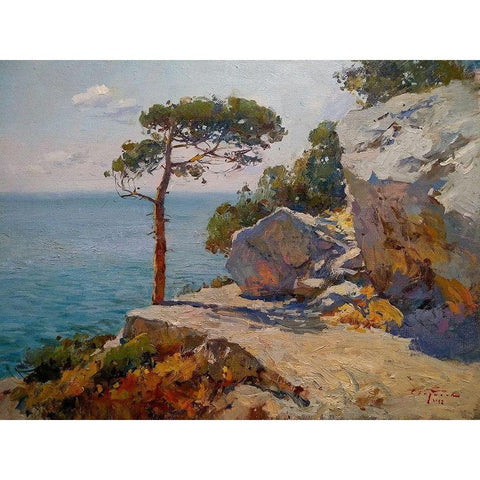 Rocky Coast V Black Modern Wood Framed Art Print with Double Matting by Sviridov, Sergei