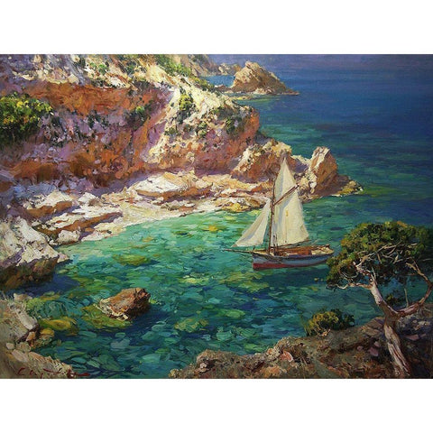 Rocky Coast XVI Black Modern Wood Framed Art Print by Sviridov, Sergei