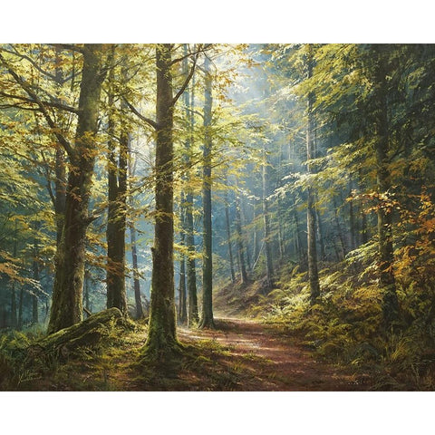 A Walk in the Morning Forest Black Modern Wood Framed Art Print by Yushkevich, Viktor
