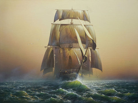 Sail Black Ornate Wood Framed Art Print with Double Matting by Yushkevich, Viktor