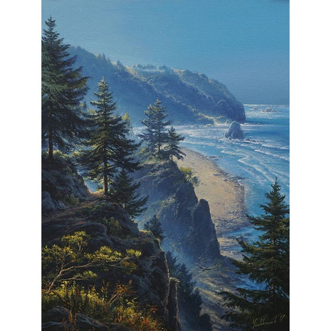 The Bay Black Modern Wood Framed Art Print by Yushkevich, Viktor