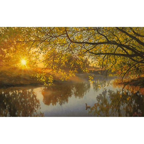 Sunrise above the  River Black Modern Wood Framed Art Print by Adamov, Alexey