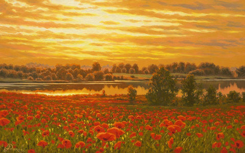Red Poppy Field by the Sunset White Modern Wood Framed Art Print with Double Matting by Adamov, Alexey