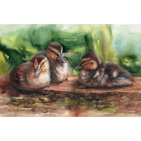 Young Ducks Black Modern Wood Framed Art Print with Double Matting by Besedina, Anastasiia