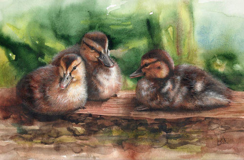 Young Ducks White Modern Wood Framed Art Print with Double Matting by Besedina, Anastasiia