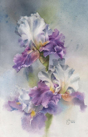 Aerial Iris Black Ornate Wood Framed Art Print with Double Matting by Besedina, Anastasiia