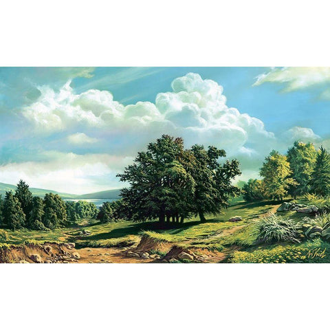 Trail to Lake Black Modern Wood Framed Art Print by Krol, Wieslaw