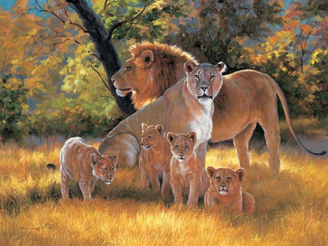 My Family White Modern Wood Framed Art Print with Double Matting by Roland, Henry