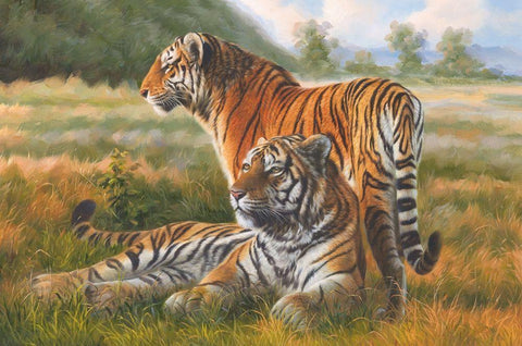 Two Tiger White Modern Wood Framed Art Print with Double Matting by Roland, Henry