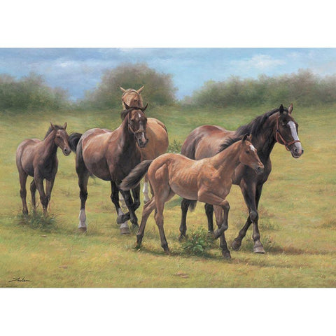 Running Horses Black Modern Wood Framed Art Print with Double Matting by Jackson