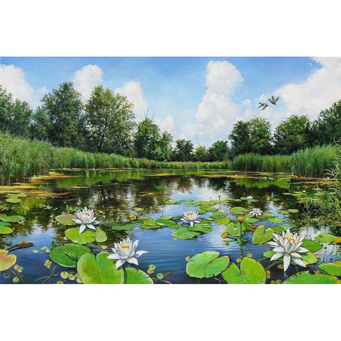 Watterlillies on River Dnepr White Modern Wood Framed Art Print by Cernov, Ivan