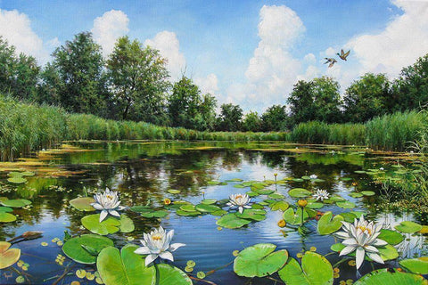 Watterlillies on River Dnepr Black Ornate Wood Framed Art Print with Double Matting by Cernov, Ivan