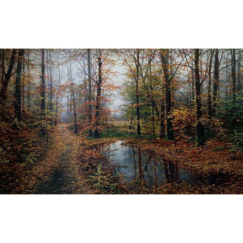 Autumn Colors White Modern Wood Framed Art Print by Cernov, Ivan