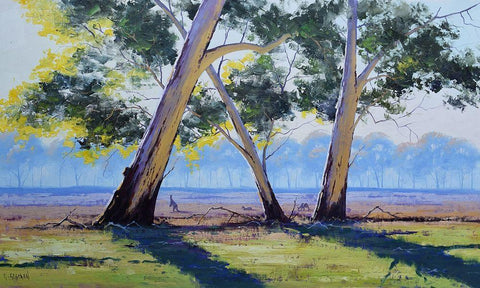 Australian Gums White Modern Wood Framed Art Print with Double Matting by Gercken, Graham