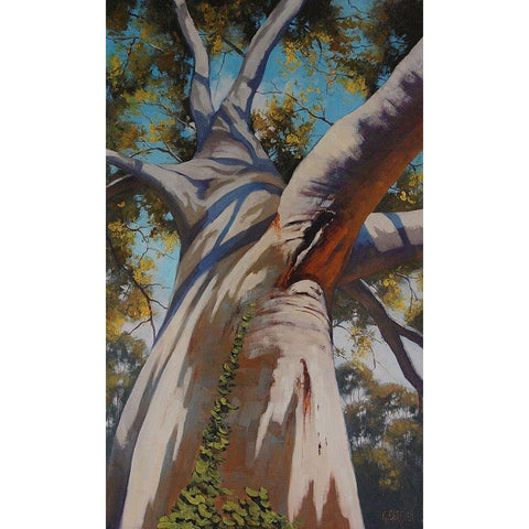 Gum Tree Portrait White Modern Wood Framed Art Print by Gercken, Graham