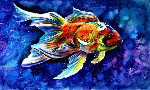 Goldfish Black Ornate Wood Framed Art Print with Double Matting by Kovacs, Anna Brigite